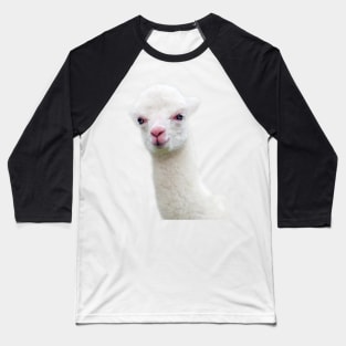 White Baby Alpaca, Llama, Cria Baseball T-Shirt